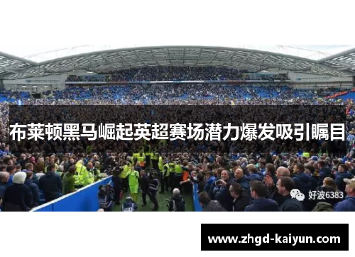 布莱顿黑马崛起英超赛场潜力爆发吸引瞩目